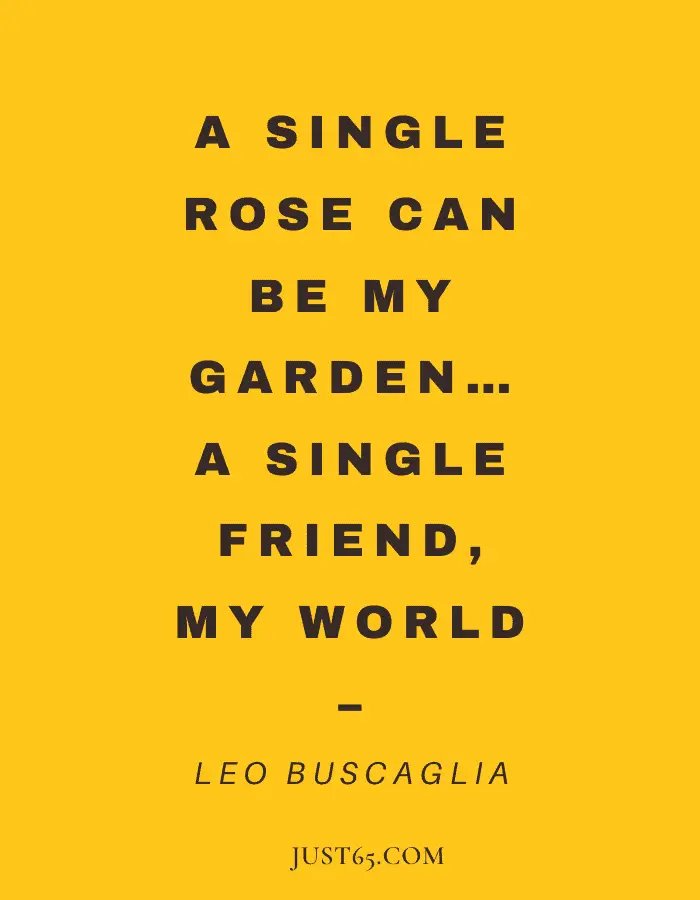 A Single Rose Can Be My Garden… A Single Friend, My World. – Leo Buscaglia