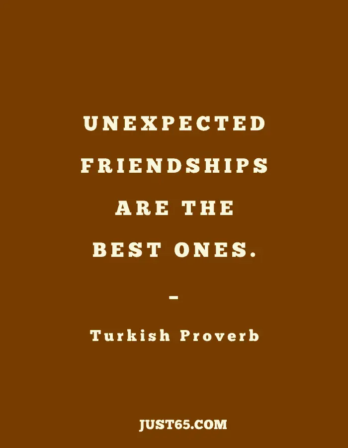 Short Special Friend Quote - "Unexpected Friendships Are The Best Ones"