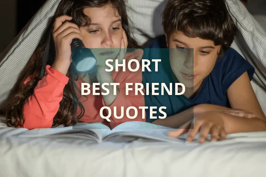 29 Best Friend Short Quotes